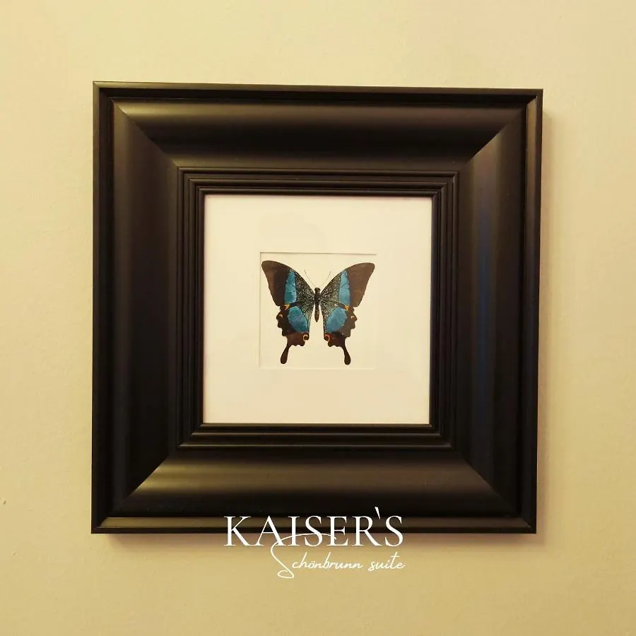 Kaiser'S Vienna Austria